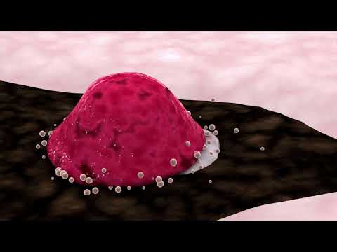 Bone Cells Explained | Osteoblasts, Osteocytes, Osteoclasts & Osteoprogenitor Cells