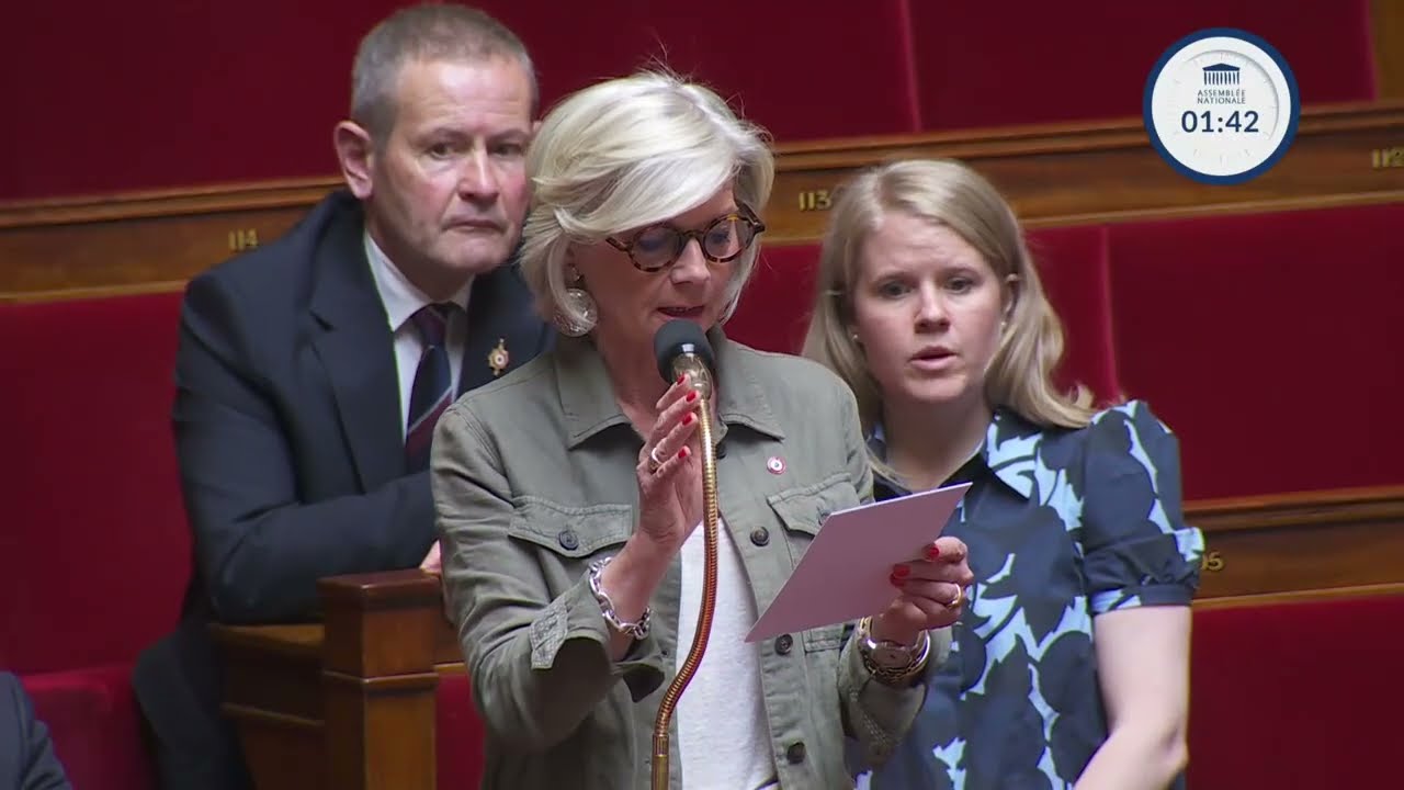 Mme Josiane Corneloup - Excès de normes