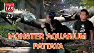 Monster Aquarium Pattaya - เพื่อนรักสัตว์เอ้ย EP.165 2/3