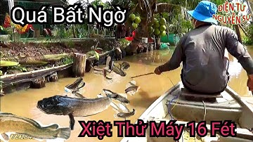 Test Kích Cá 16 Fet Lớn New Quá Khủng|Điện Tử Nguyễn Sự|