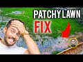 How to fix a Patchy & Thin new Lawn