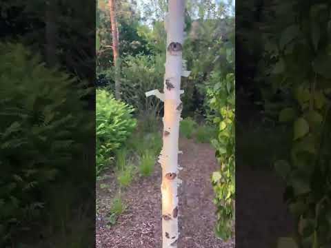 🌸 Прогулка по объекту
