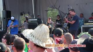 Watch Assorted Jelly Beans Plain Life video
