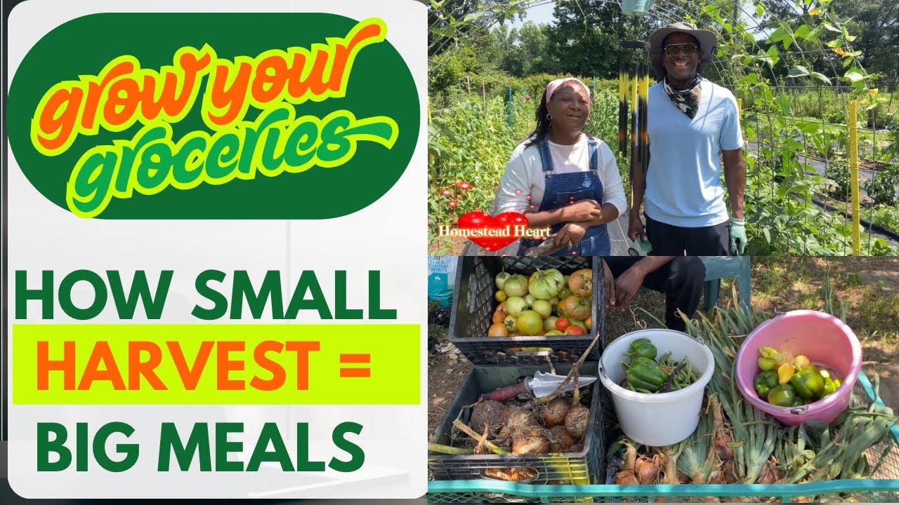 Harvesting Our Groceries / Count It All Joy!