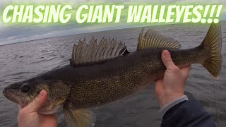 Chasing GIANT Walleyes in the Bay of Green Bay