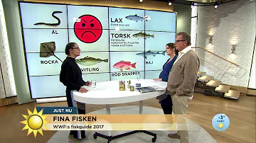 Är det lämpligt att Varmhålla fisk?