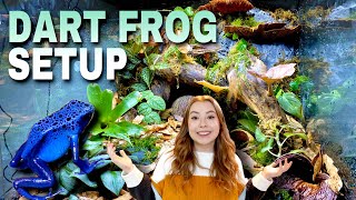 Setting Up My Poison Dart Frog Enclosure! (Dart Frog Journey Part 4)