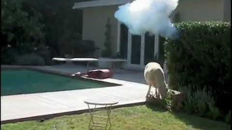 Ratchet & Clank - Sheepinator