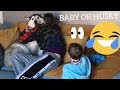 The Funny Reasons Why My Baby Is More Of A Dog Than My Dog..... [TRY NOT TO LAUGH]