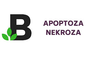 APOPTOZA a NEKROZA - śmierć komórki - KOREPETYCJE z BIOLOGII - 36