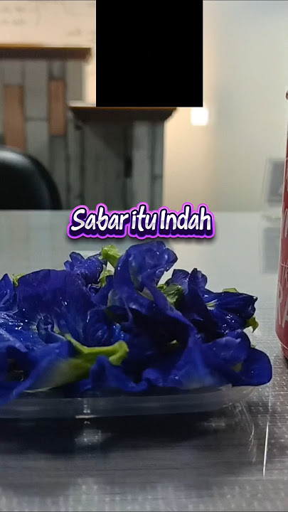 Sabar Itu Indah @Hasnawati_Absi #nasyidqolbu