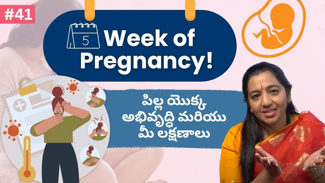 గర్భధారణ 5వ వారంలో ఏం జరుగుతుంది: శిశువు అభివృద్ధి & లక్షణాలు | 5th Week Pregnancy |Mamata Fertility