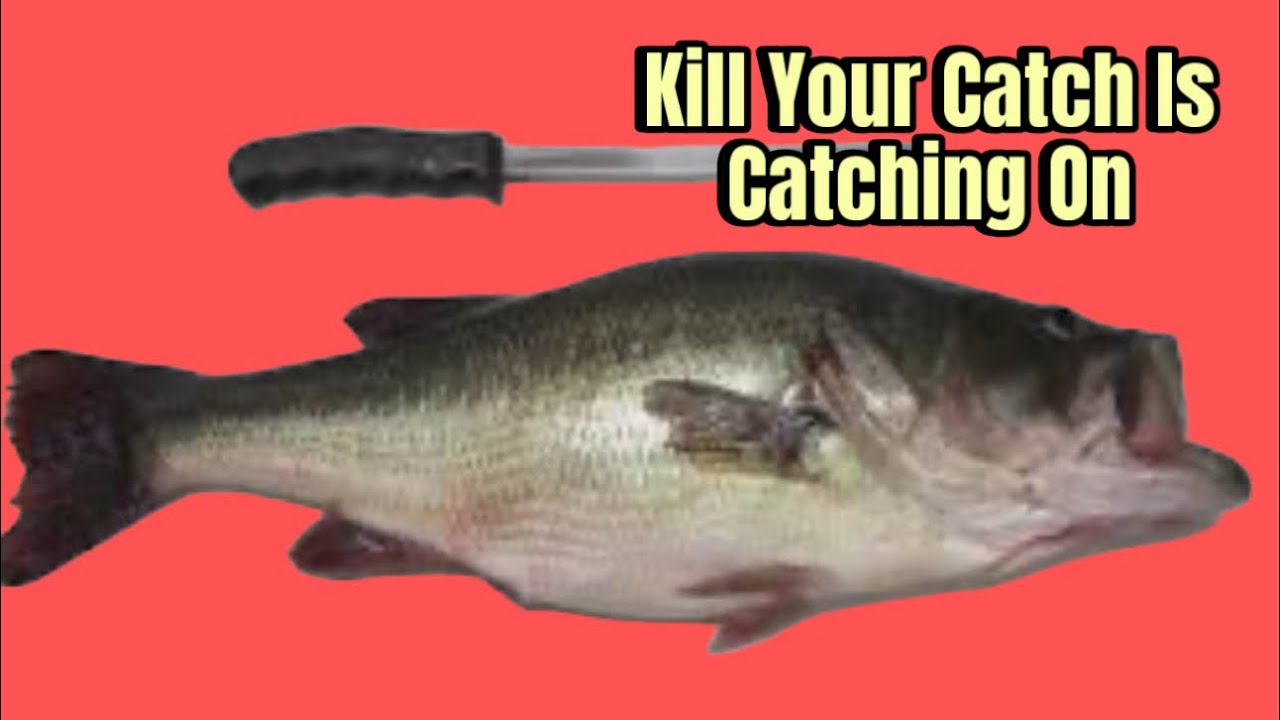 Why Anglers Today Are Keeping And Killing Bass At A Record Rate…