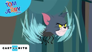 Магическа бъркотия | Том и Джери |  Забавни анимационни филми | Cartoonito