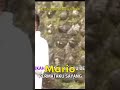 Mario - Kenangan Yang Indah #Shorts