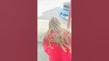 Magpie Asks Couple For Help | The Dodo