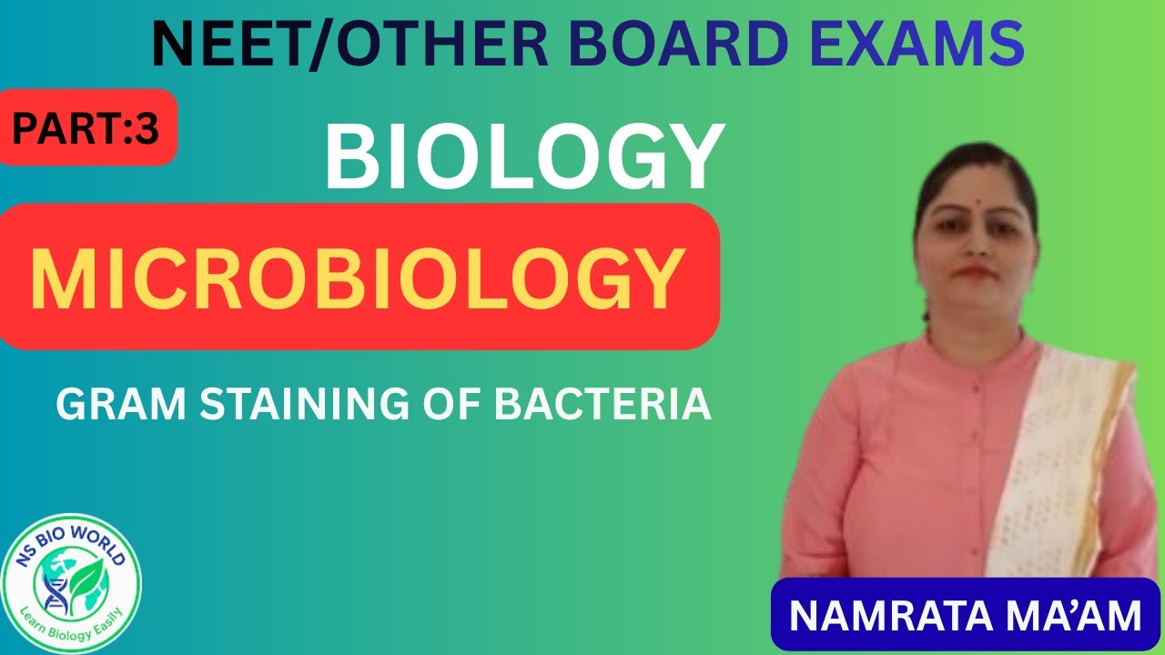 Gram Staining Step by Step | Microbiology | Gram Positive & Gram ...