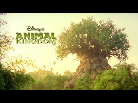 Disney's Animal Kingdom - Walt Disney World Resort Vacation Planning Video (5 of 14)