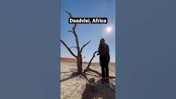 Thumbnail of We recreated iconic bollywood song in Dead Valley | Africa | #shorts