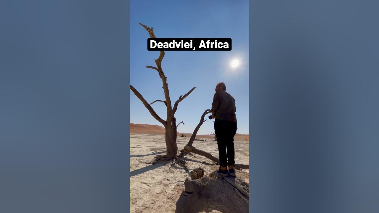 We recreated iconic bollywood song in Dead Valley | Africa | #shorts We recreated iconic bollywood song in Dead Valley | Africa | #shorts