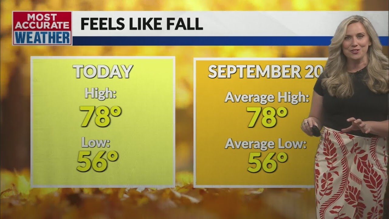 Fall fells continue before heavy rain moves into the Ozarks - YouTube
