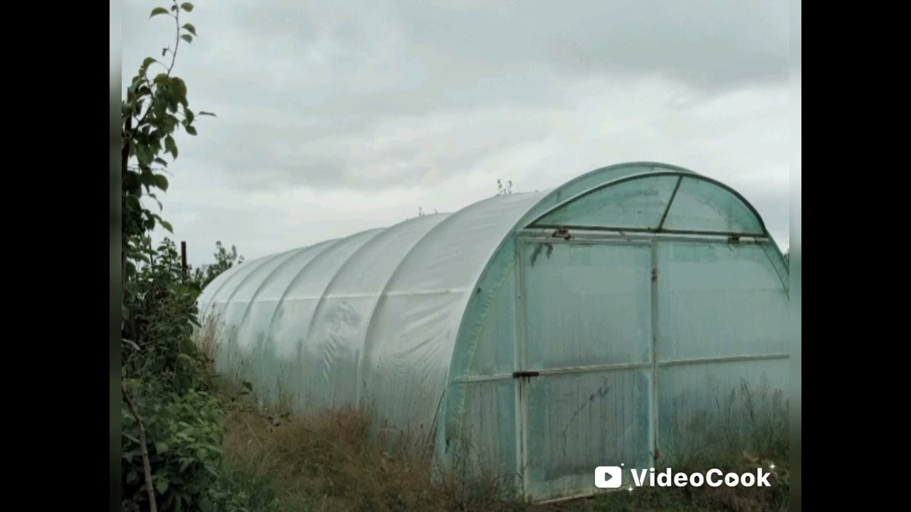 ЧИ ВАРТО РОБИТИ ТЕПЛИЦЮ?