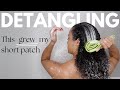 This way of detangling my curly afro hair helped to grow my short damaged patch! | AbbieCurls