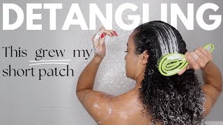 This way of detangling my curly afro hair helped to grow my short damaged patch! | AbbieCurls