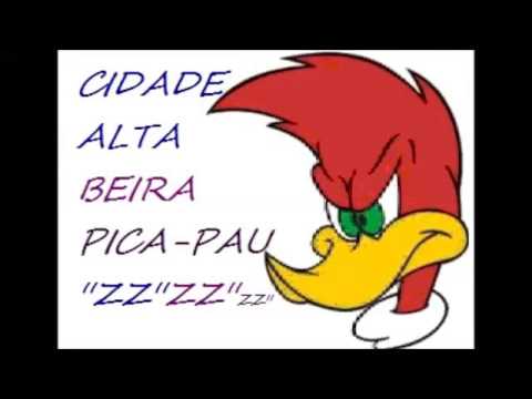 Zzclube cidade alta e beira pica pau