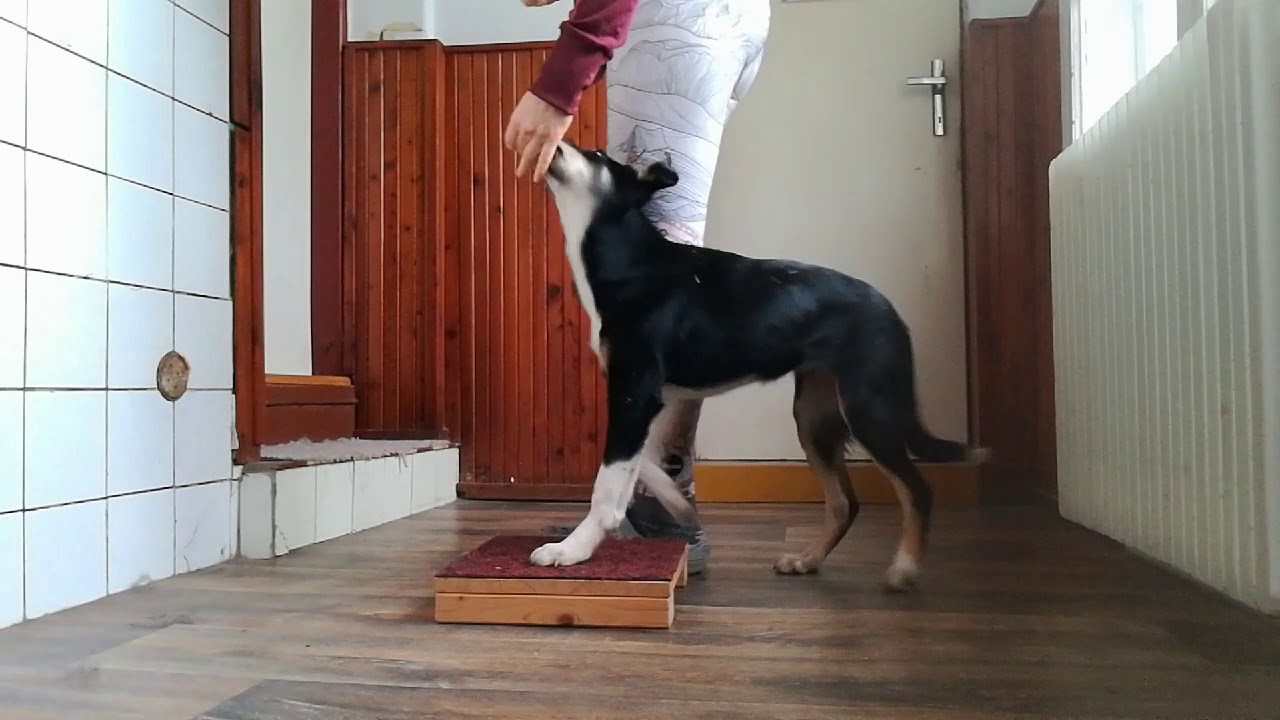 Přiřazování k noze pomocí targetu (bedýnky)