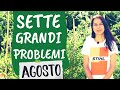Orto di AGOSTO: ecco 7 problemi da evitare