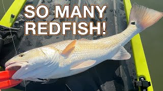 Redfish everywhere in Rockport Texas