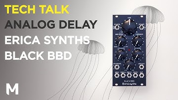 How to get more out of analog delay - with Erica Synths Black BBD