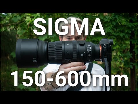 Sigma 150-600mm F5-6.3 DG DN OS Ultra Telephoto | Cooper Naitove