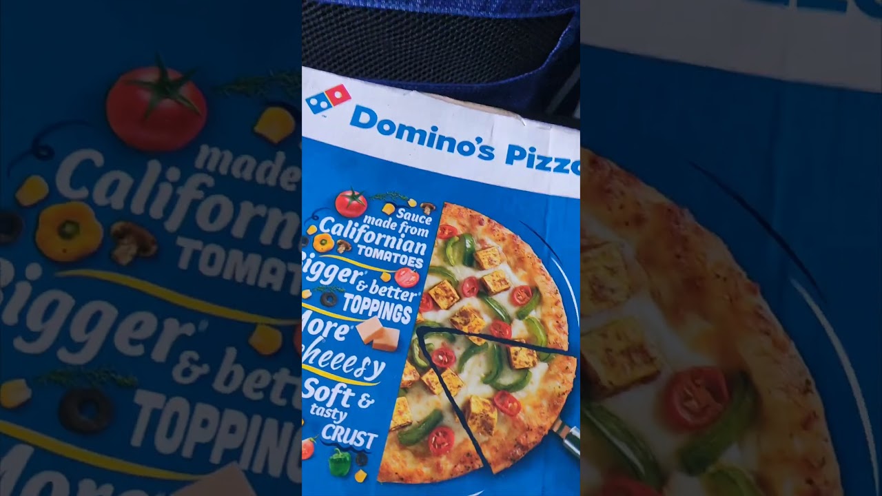 Dominos with Indigo | Pizza on Air | Life of Happiness 