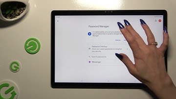How Add Passwords to Google Passwords Autofill on Nubia Pad 3D?