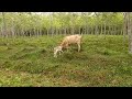 f2 動画写真2b