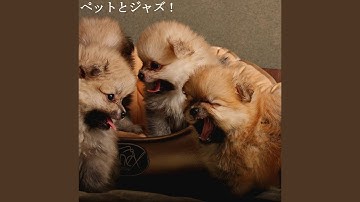 Pulsating Backdrops for Light Throwbacks