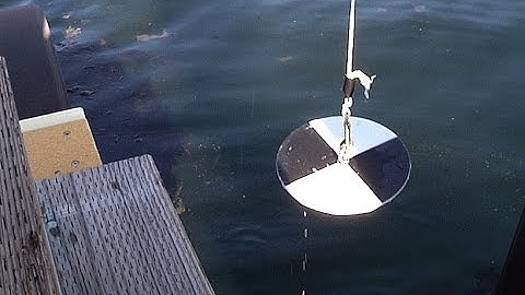 Secchi Disk—Water Quality Test