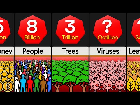Comparison: How Many ____ in the World (Numbers to Infinity)