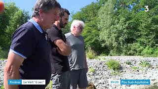Béarn, Sécheresse, Des Poissons Morts Sur Le Vert Darette