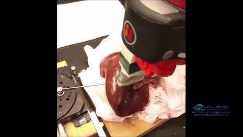 Photoacoustic-based visual servoing of a needle tip