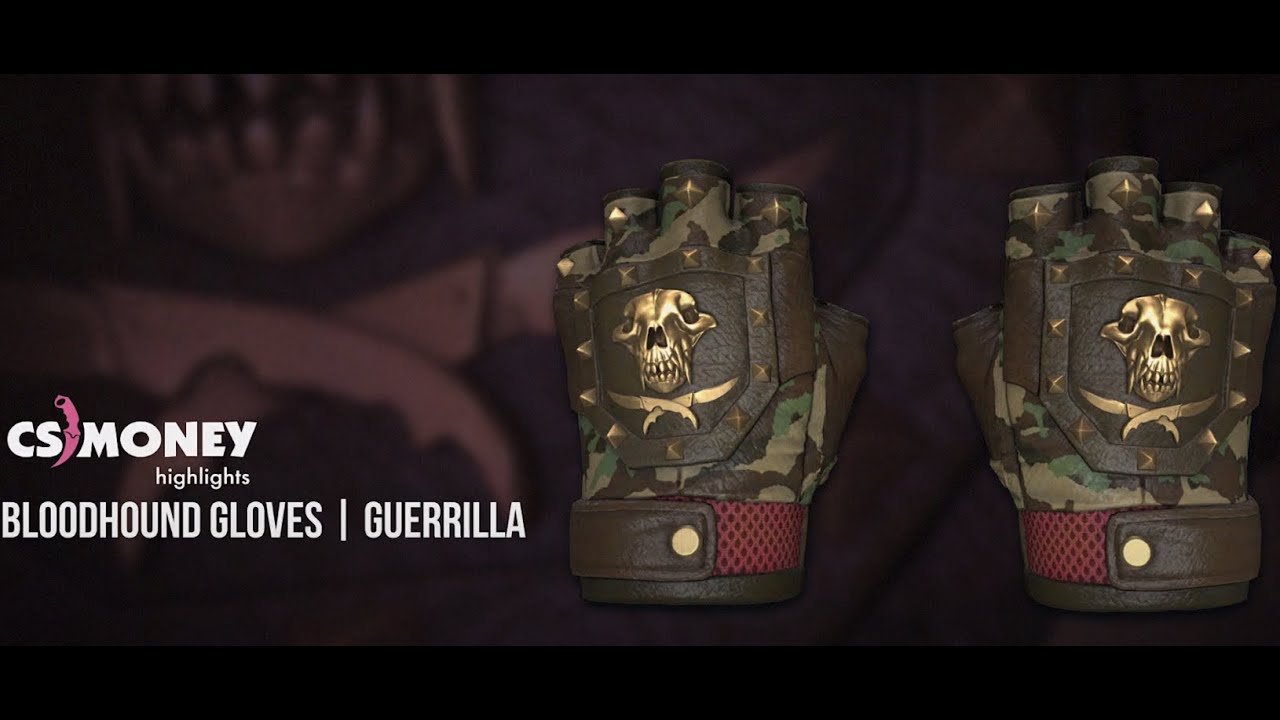 CS:GO | Bloodhound Gloves - Guerrilla - YouTube
