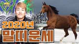 (서울유명한점집)2020년도 말띠 운세!! 미리 알아보고 넘어가자~! [점점tv]