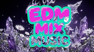 New Funky Disco House Banger 🎶 Ultimate Party Vibes | Best Dance Music 2024