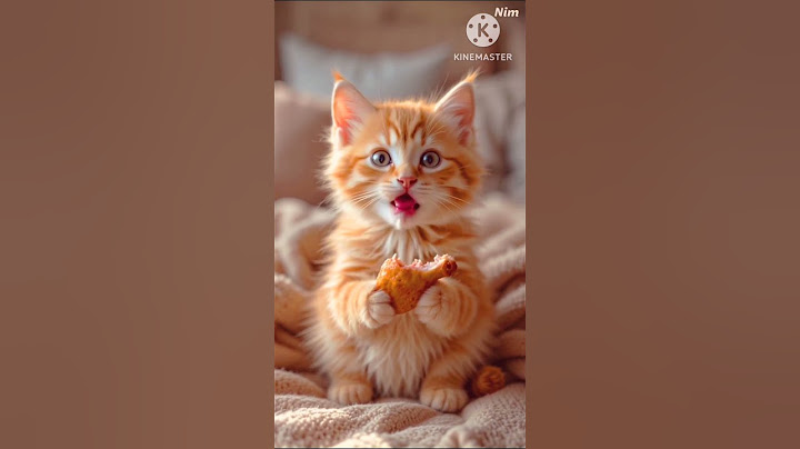 Is she a real predator?🐯 Watch this to the end! #cat #cats