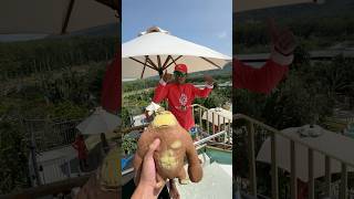 Me And My Monkey, Its Time To Dance