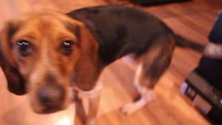 The Other Guys  Make A Beat Using Solanges  Jerrod