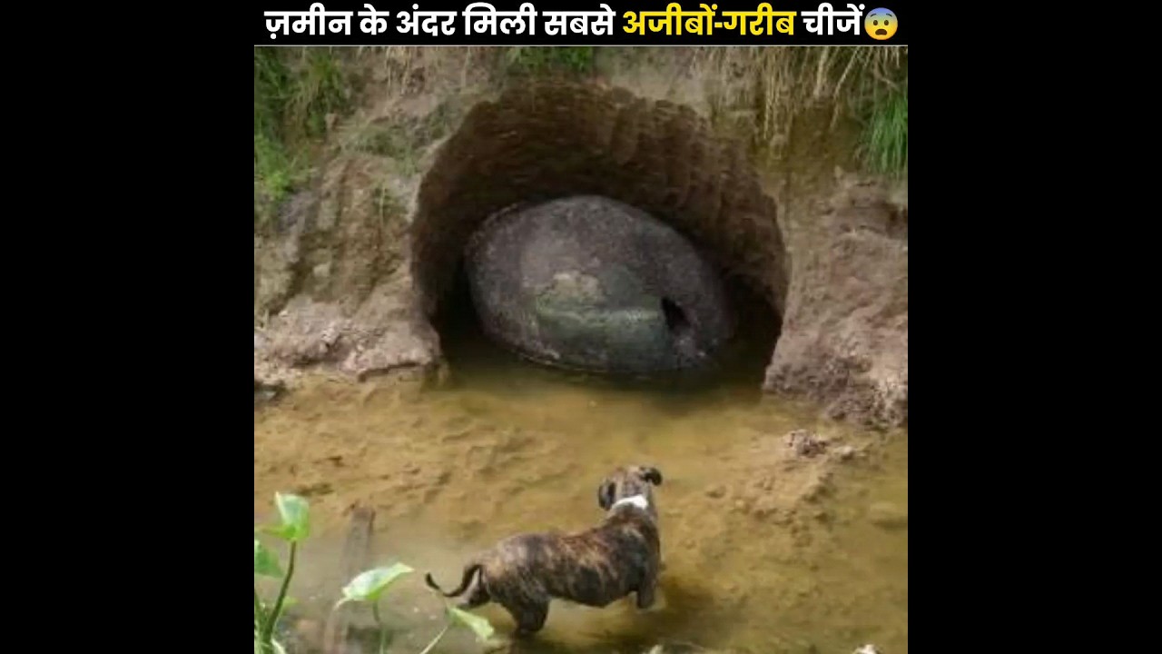 जमीन के अंदर मिली सबसे अजीबों-गरीब चीजें ???? | Things Found Underground | The Fact | #shorts #ytshorts