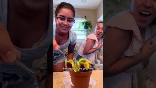 What happens when plant people catch a wasp… #venusflytrap #plantcare #plantpeople
